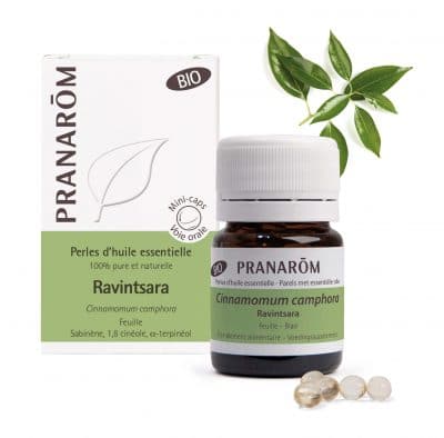 Ravintsara gyöngy – BIO – Pranarom