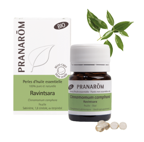 Ravintsara gyöngy - blog